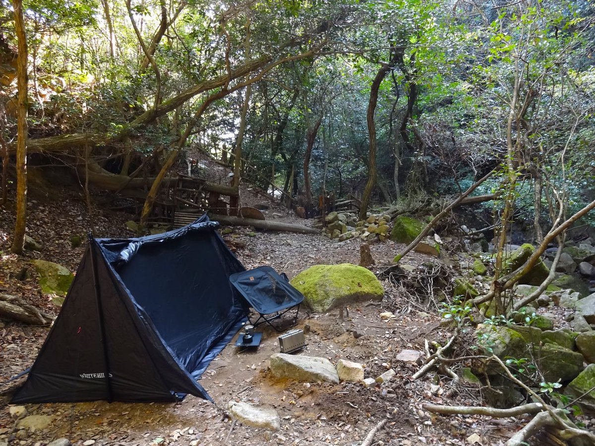 camp.tomG tweet media