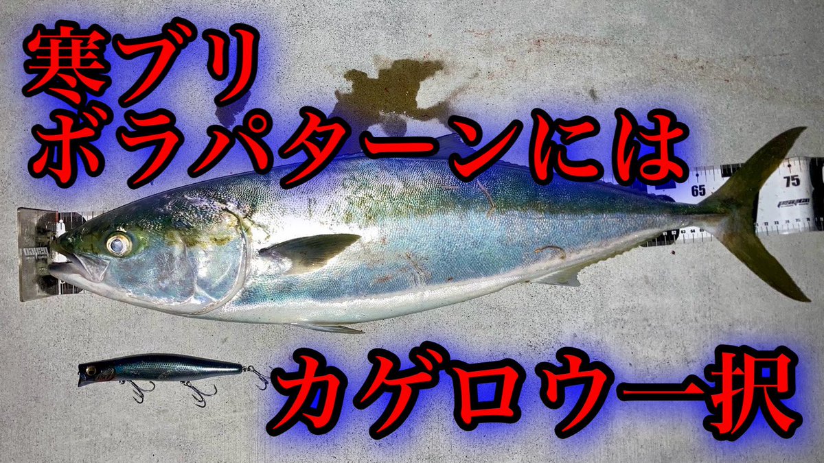 真冬の河口でボラパターンの寒ブリをカゲロウ155Fで仕留める‼️

youtu.be/1XvymgBG8LI?si…

#釣り #青物 #fishing #シーバス