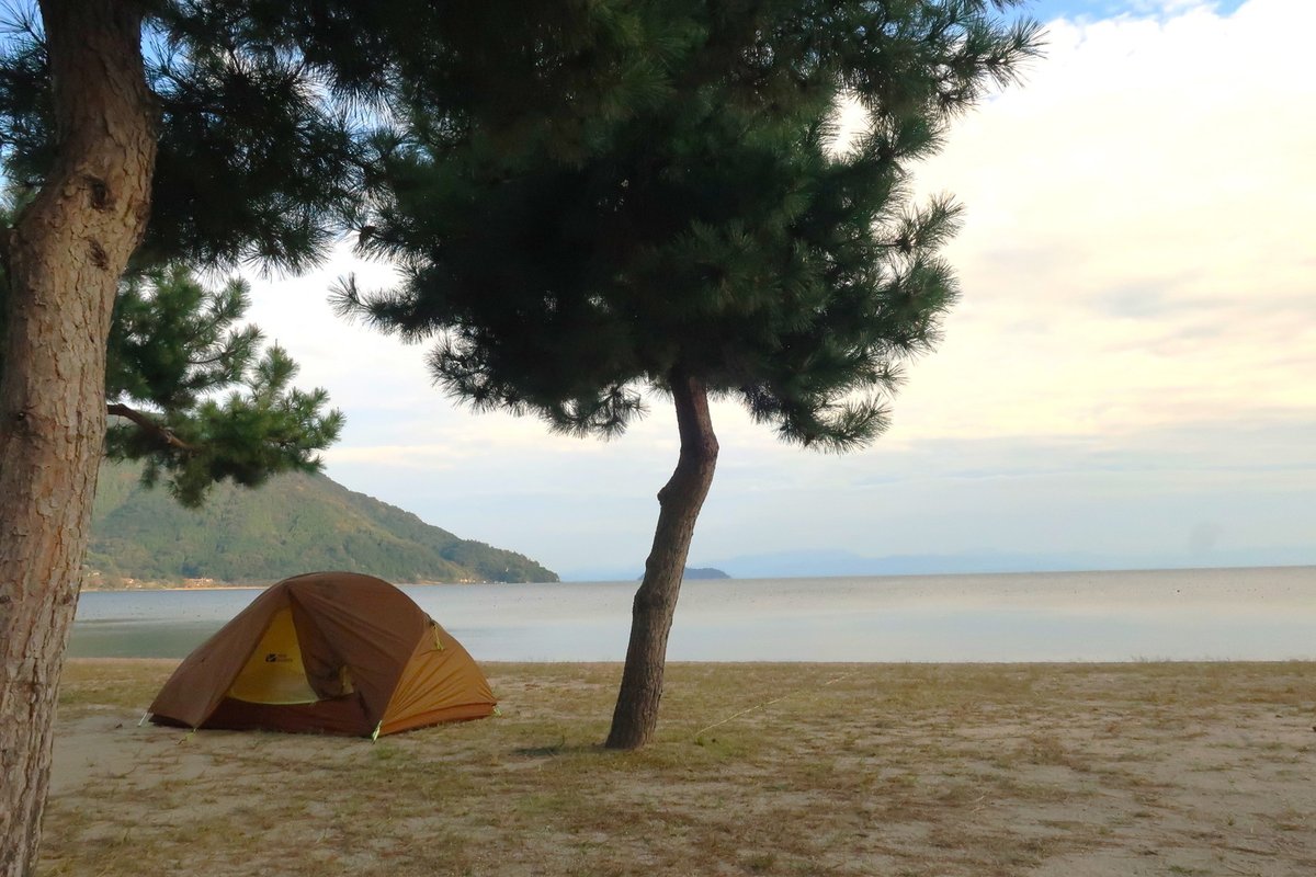 camp.tomG tweet media