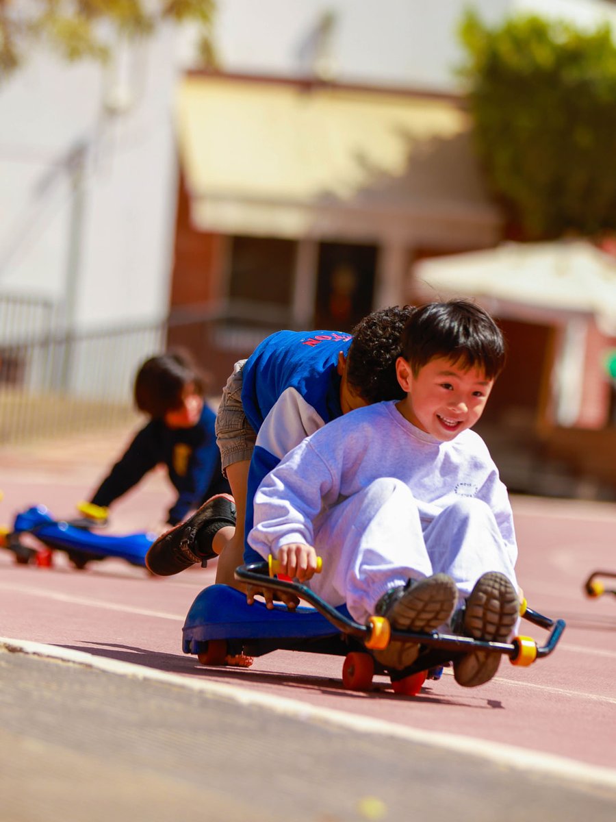 Cairo American College tweet media