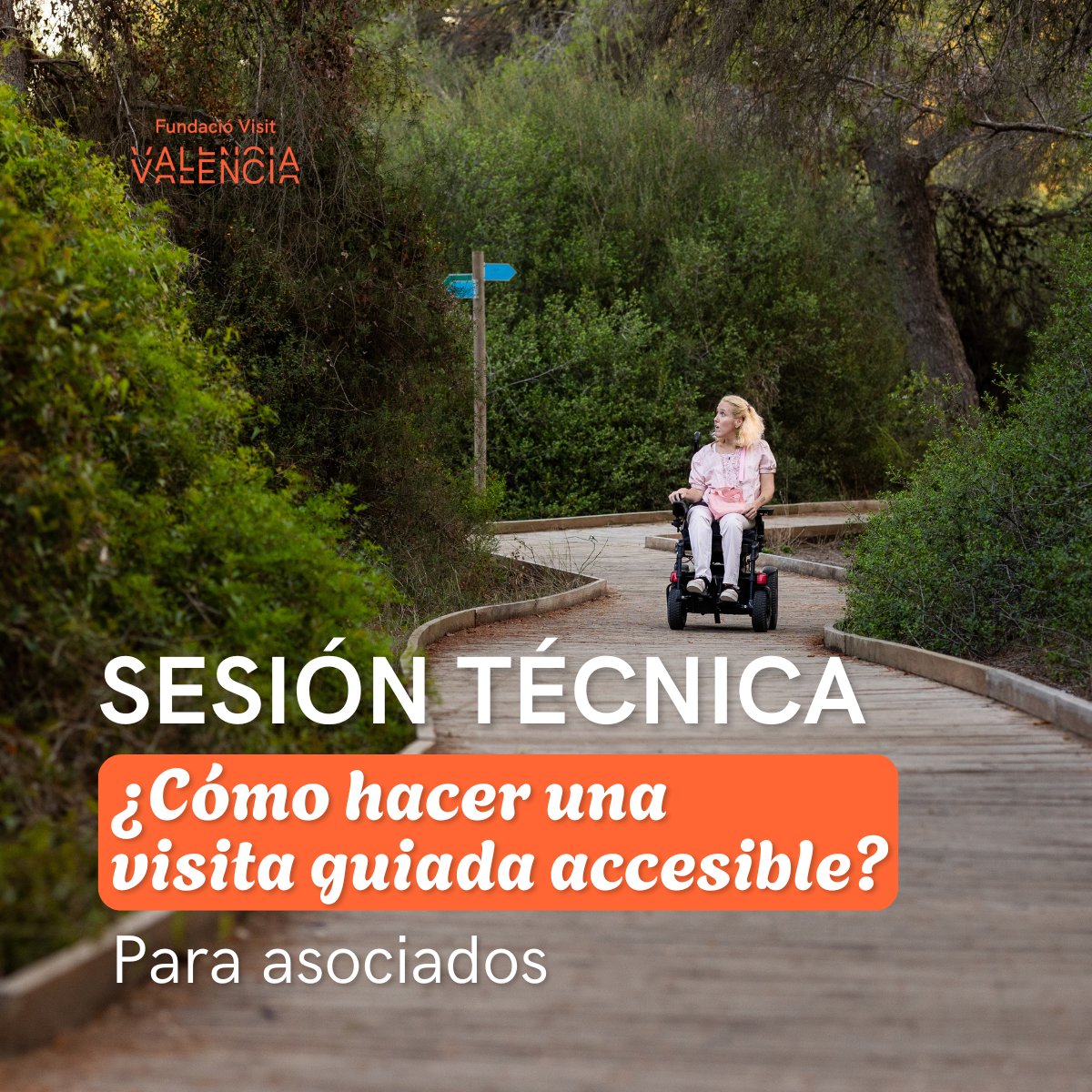 Fundació VisitValència tweet media