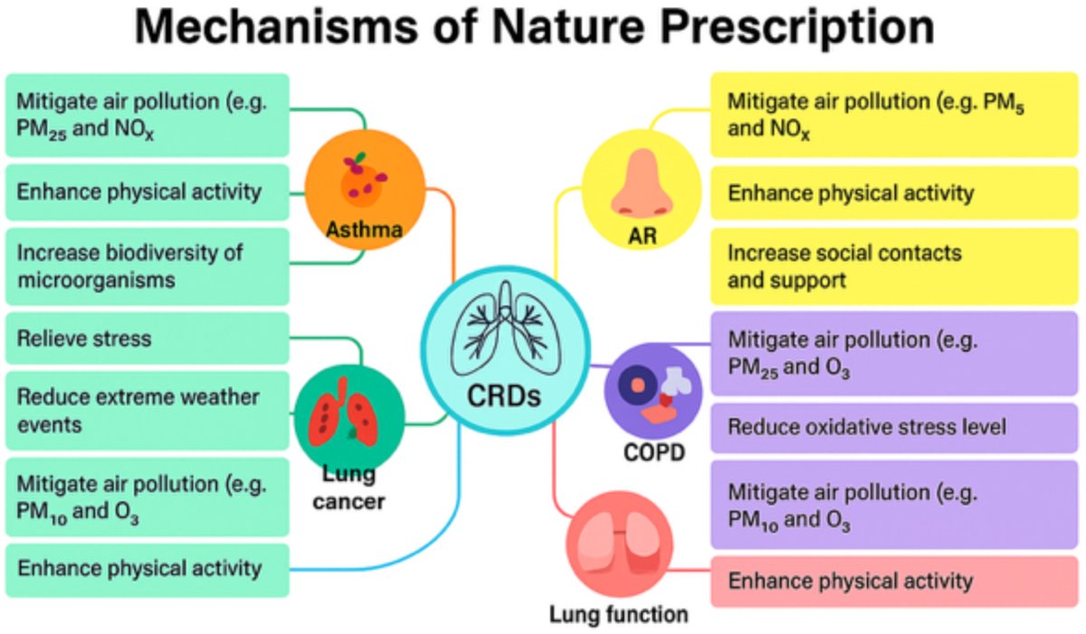 Interasma's tweet image. #Nature #prescription for patients with #chronic #respiratory #diseases. Open Access. interasma.org/2026/03/12/nat…