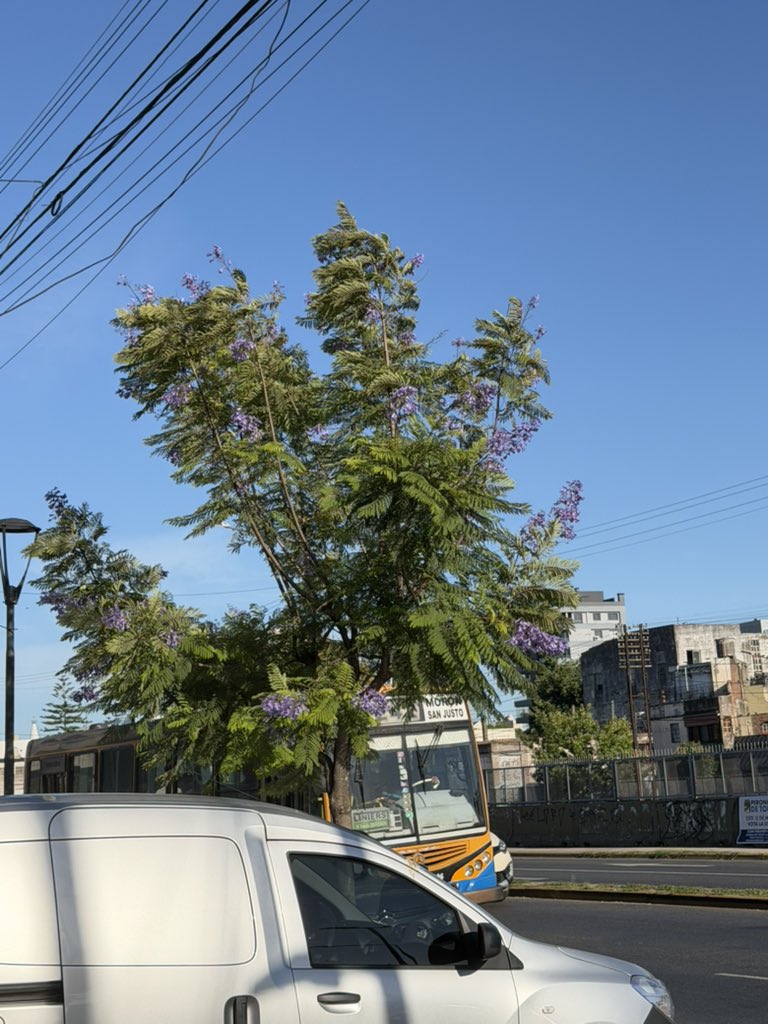 Corralón Ciudadela tweet media