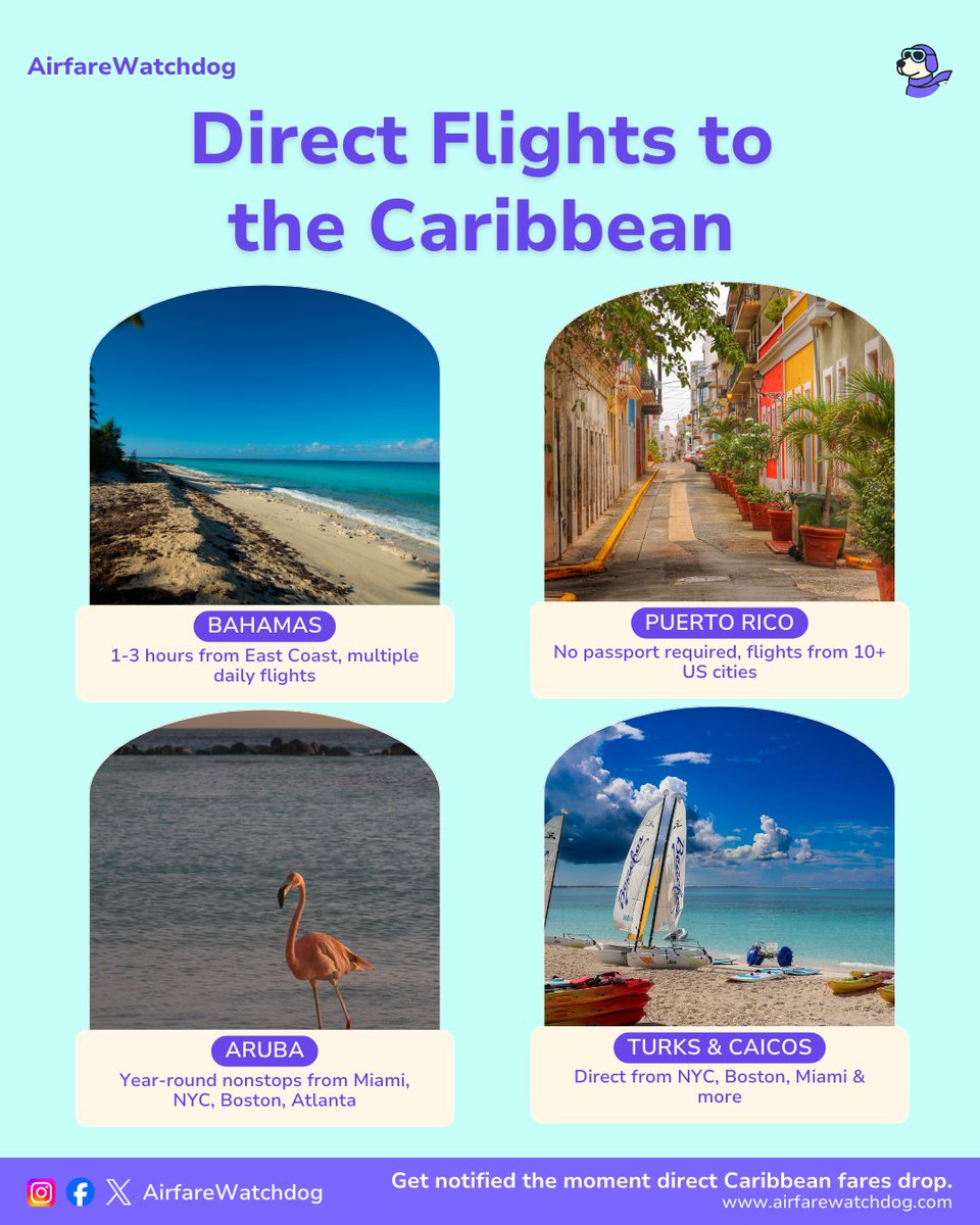 airfarewatchdog's tweet photo. Also tracking direct fares to Turks & Caicos, Punta Cana and the US Virgin Islands. Set your free fare alert at → https://t.co/xLqShBHT8s
#CaribbeanFlights #DirectFlights #FareAlert #AirfareWatchdog https://t.co/n6ssd43UtM