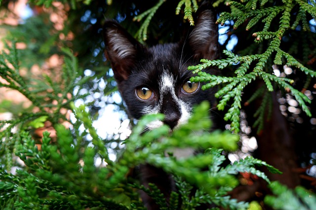 Jason Lang tweet media