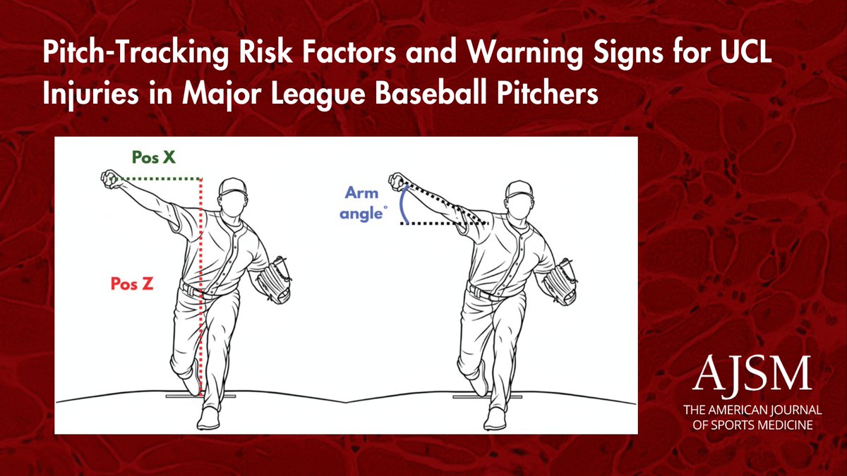 AOSSM Journals tweet media