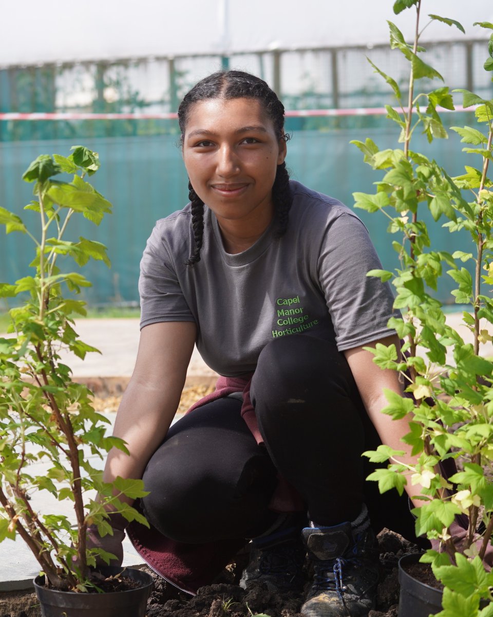 Capel Manor College tweet media