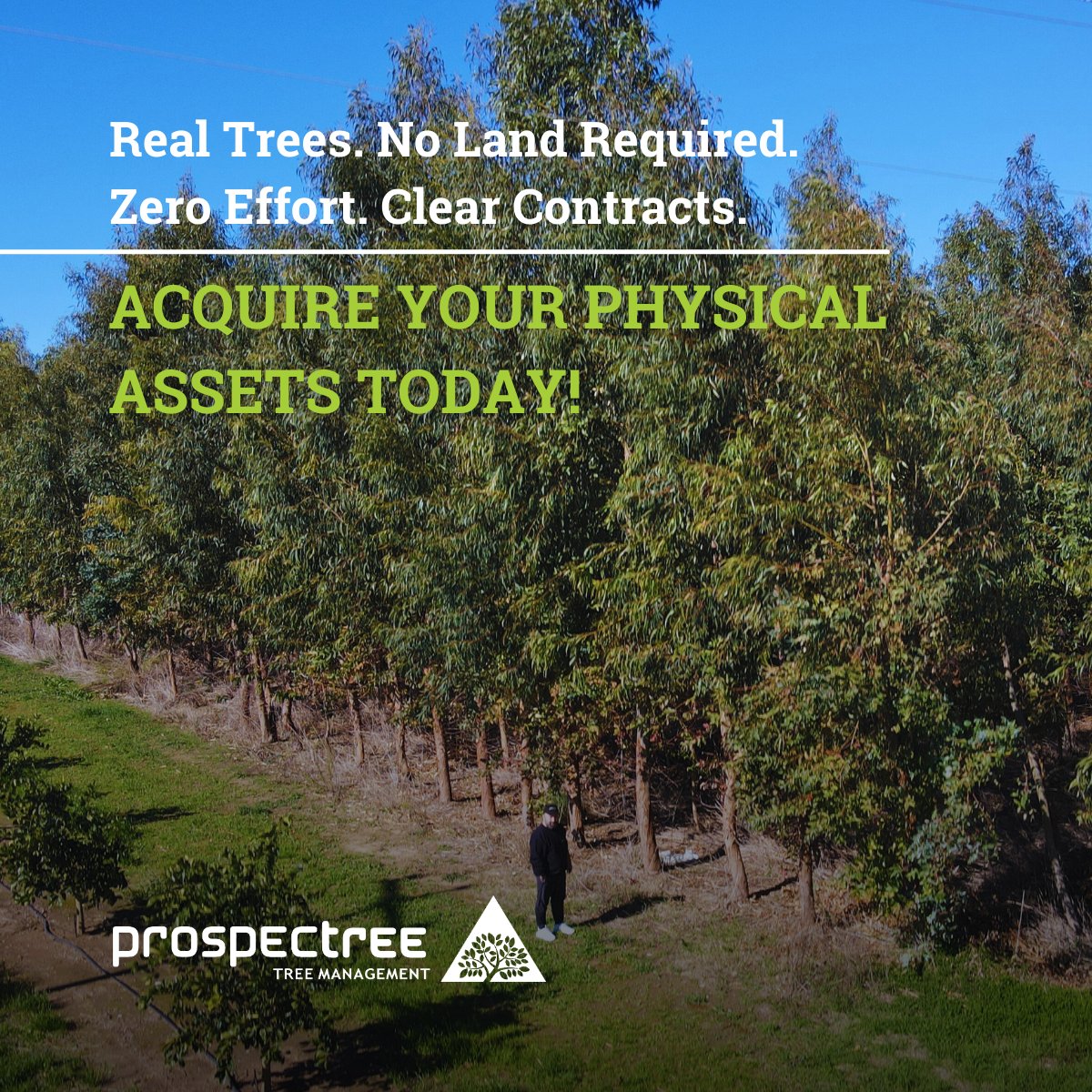 🌱 Real Trees. Zero Effort. Clear Contracts. 🌱

Acquire your trees today with ProspecTree and step into a Modern Asset Ownership.
🌳 Real Trees: Each physical asset is individually identified, tracked through our Tree Ledger, and accompanied by a digital identification