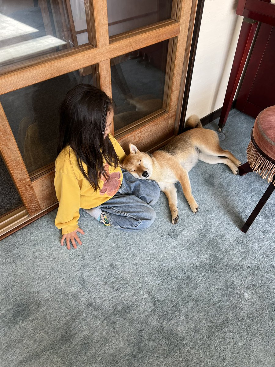 Kantaro San tweet media