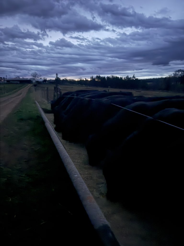 Peanut Coleman tweet media