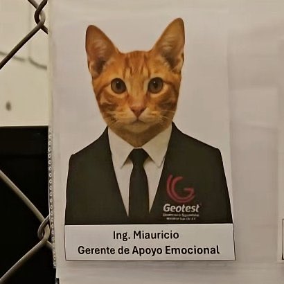 ZonaGatos's tweet photo. Una empresa contrató a un gato como “gerente de apoyo emocional” para sus empleados.

No es broma: tiene foto oficial, credencial… y hasta cargo en la empresa.

Se llama Miauricio y trabaja en una compañía de ingeniería en Chile.

La historia es curiosa, te cuento 🧵 https://t.co/HdL8hwcc6G