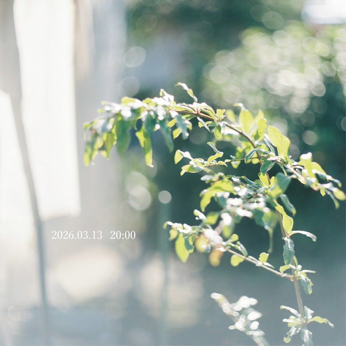 灰色ロジック tweet media