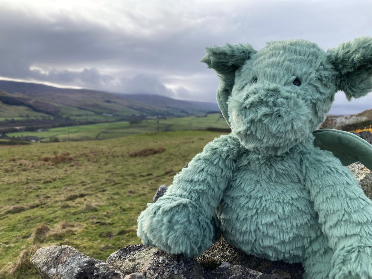 County Durham Libraries tweet media