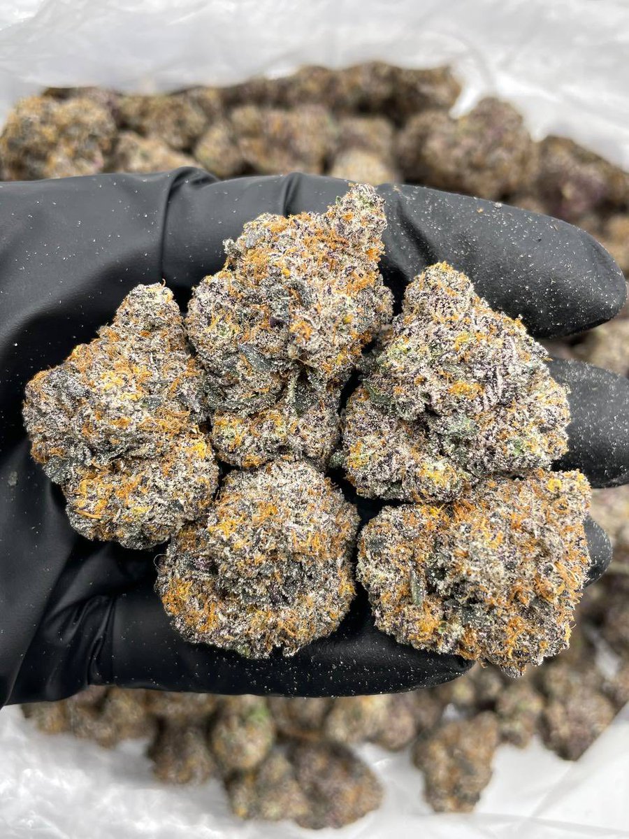 Sincty Seeds tweet media
