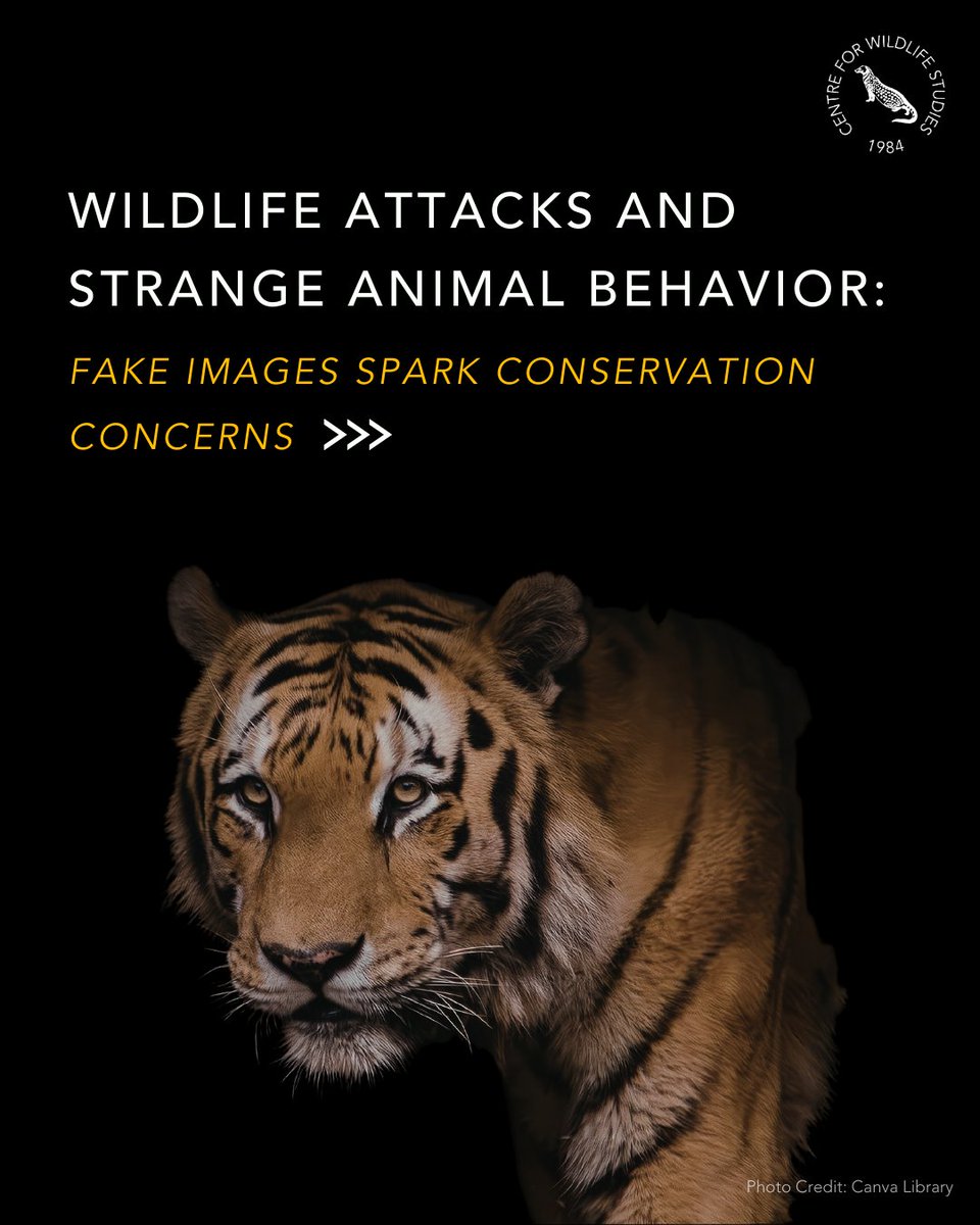 cwsindia's tweet image. Wildlife attacks and strange animal behavior — fake images spark conservation concerns. Read the full article at news.mongabay.com/2026/01/wildli…

#WildlifeConservation #AnimalBehavior #ConservationConcerns #WildlifeProtection
