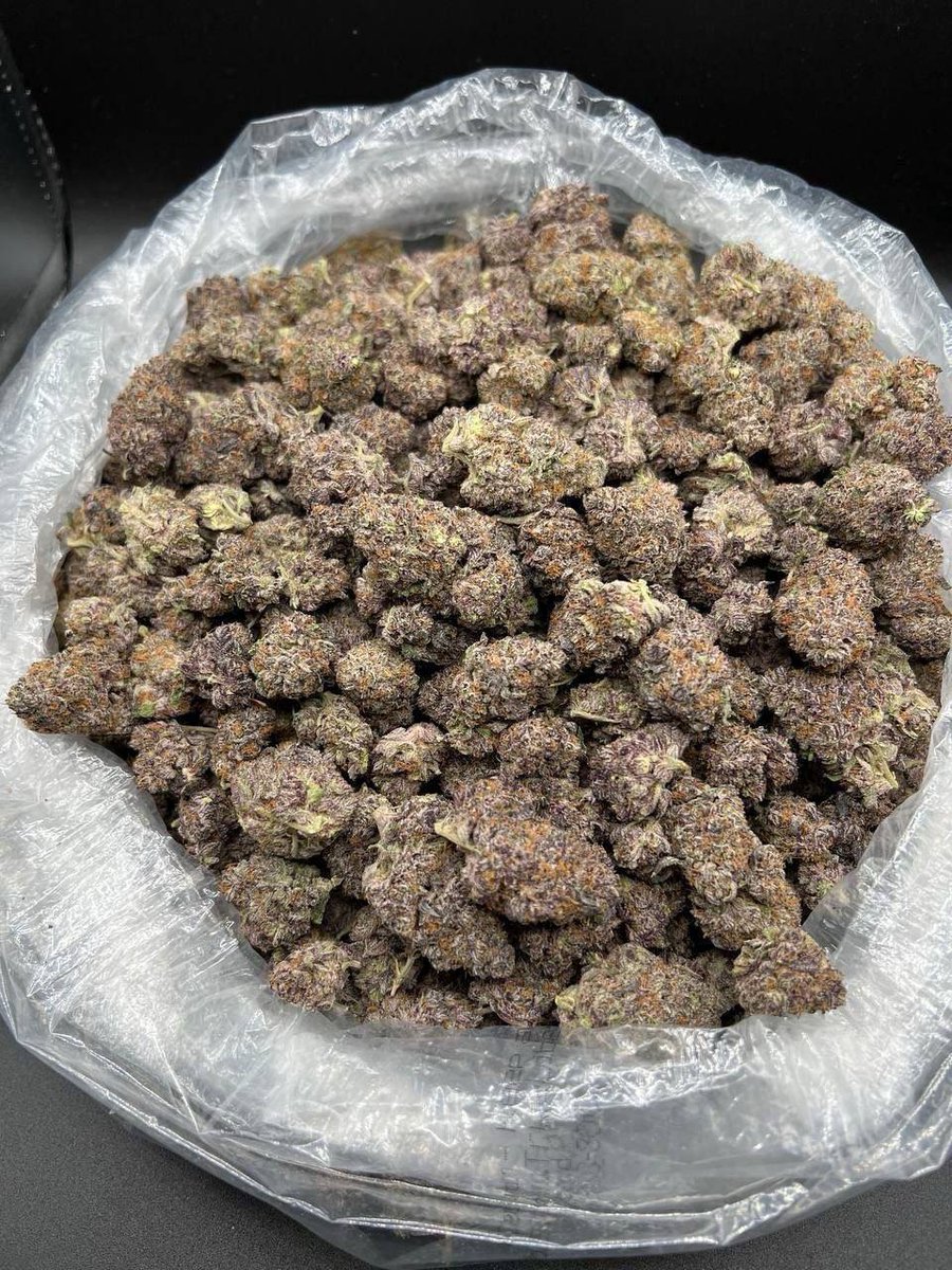 Sincty Seeds tweet media