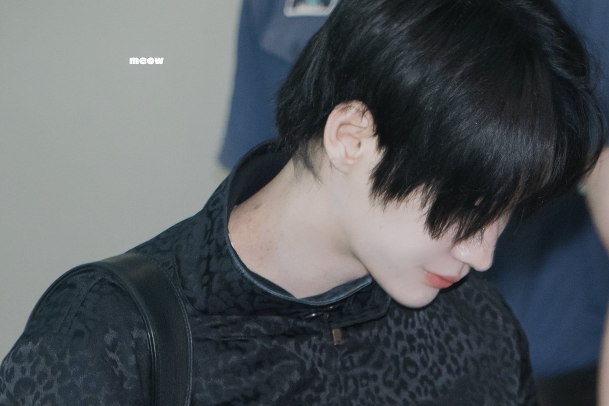 meow🐈‍⬛ tweet media