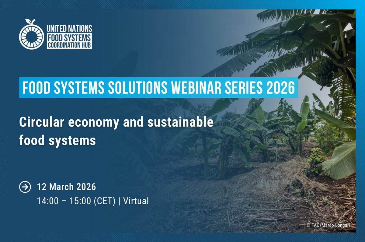 UN Food Systems Coordination Hub tweet media