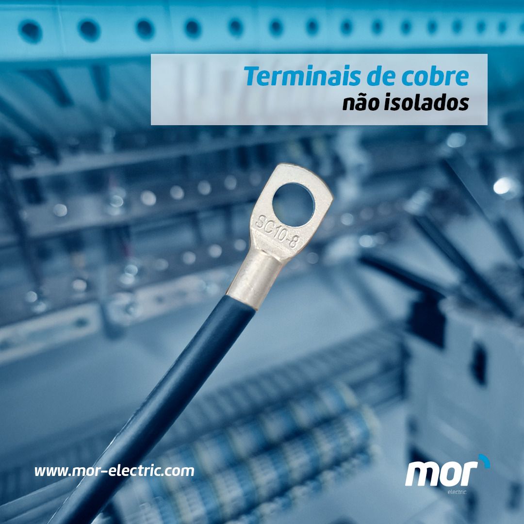 MOR_Electric's tweet photo. ✅ Fiabilidade e condução elétrica superior com os terminais de cobre da MOR Electric. Precisão, durabilidade e segurança em cada ligação. 🌐Saiba mais em https://t.co/0eHkWZWH9U #mor #morelectric #workingtogether #materialeletrico #industria #industria40 https://t.co/HisbMPI8hj