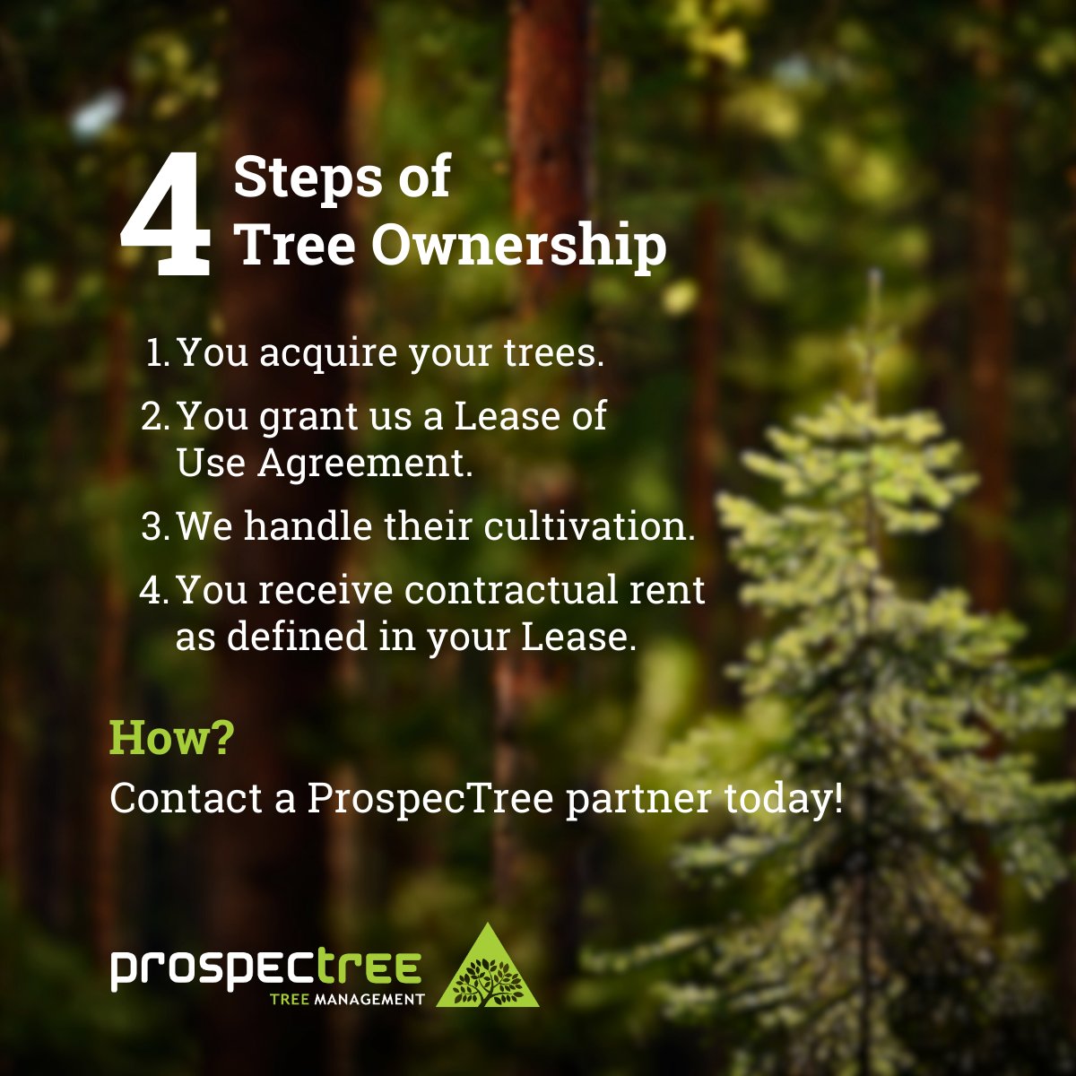 🌳 How Does Tree Ownership Actually Work? 🤔

With ProspecTree, owning a tree means stepping into a structured, real-world commercial agreement. Here is the process:
1️⃣ You purchase your trees, each assigned a unique Tree ID and documented via our internal Tree Ledger.
2️⃣ You