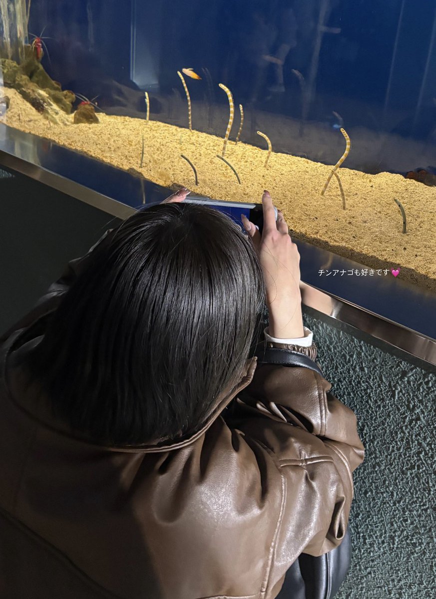 岐阜スゥープスチアリーダーズ tweet media