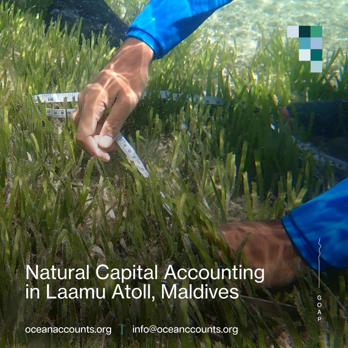 Global Ocean Accounts Partnership (GOAP) tweet media