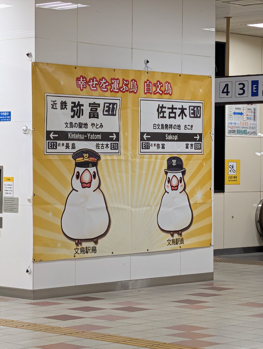 YAE_at_Yatomi's tweet photo. 近鉄弥富駅の文鳥タペストリーが元通りに飾られてました😊
#弥富 
#文鳥 https://t.co/wGTWlqkWyA