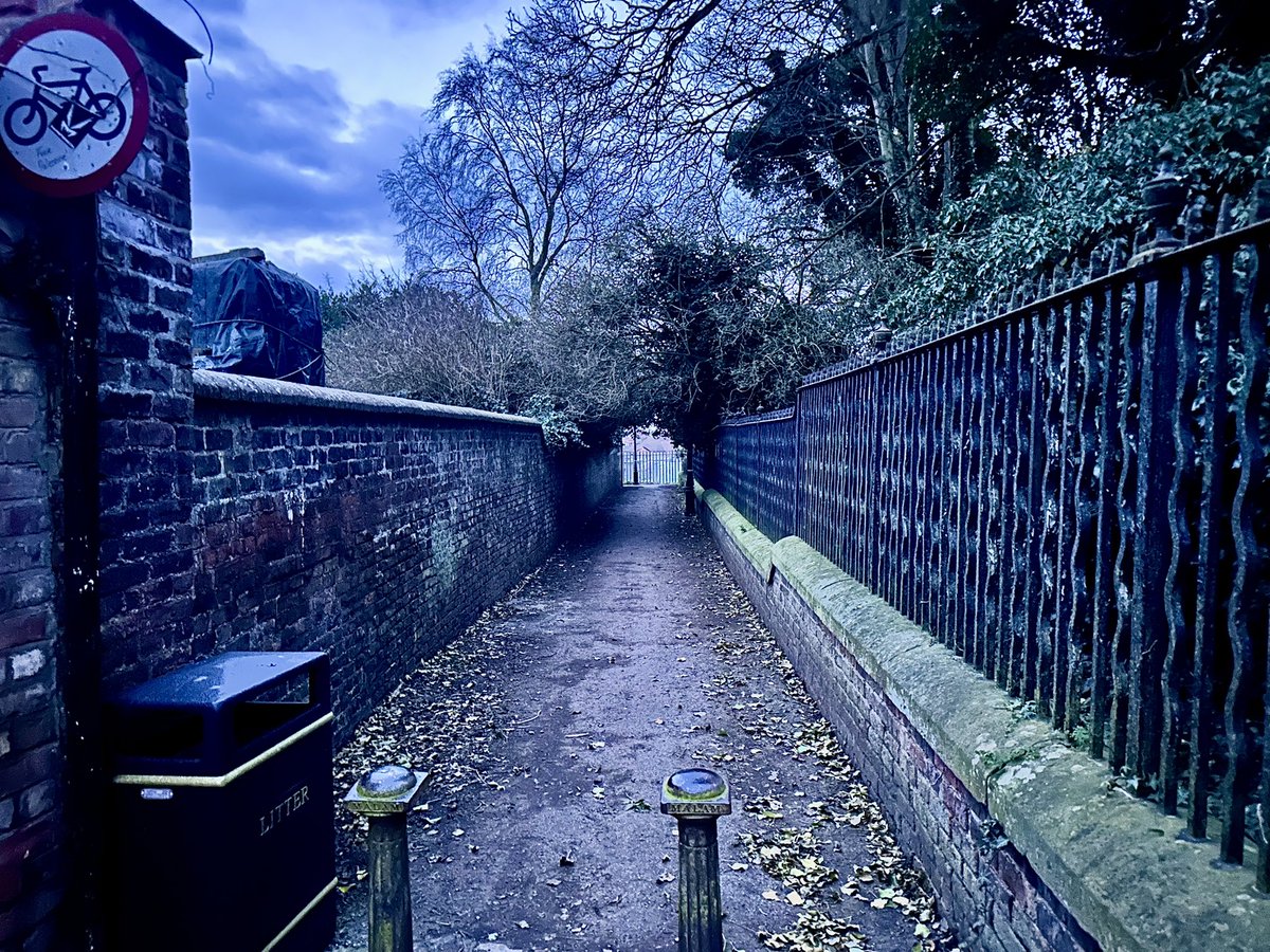 The Hutch Runs tweet media