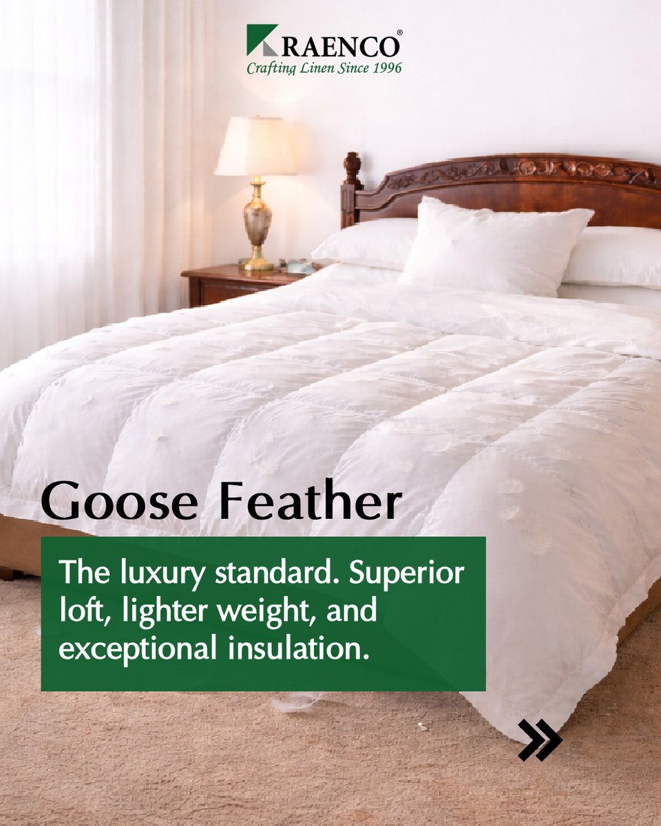 RaencoGroup's tweet photo. Your guests don't just sleep under a duvet. They judge your entire hotel by it. 
We offer three distinct fills each engineered for a different need:
Same Raenco craftsmanship. Different levels of luxury. Your choice.
#HotelLuxury #HospitalityIndustry #HotelSupplies #RaencoMills https://t.co/7QMXv8w40w