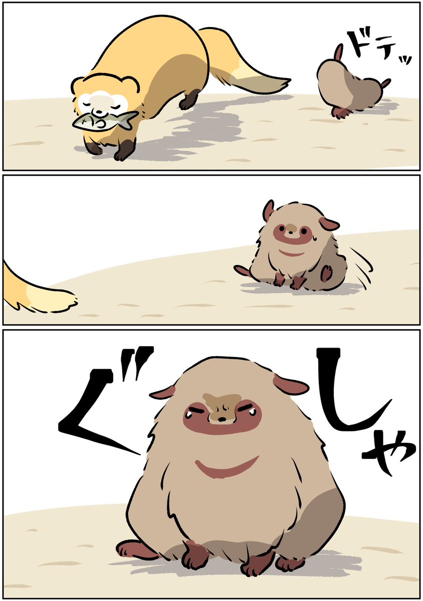 わたぬきサブレ/クラファン挑戦中 tweet media