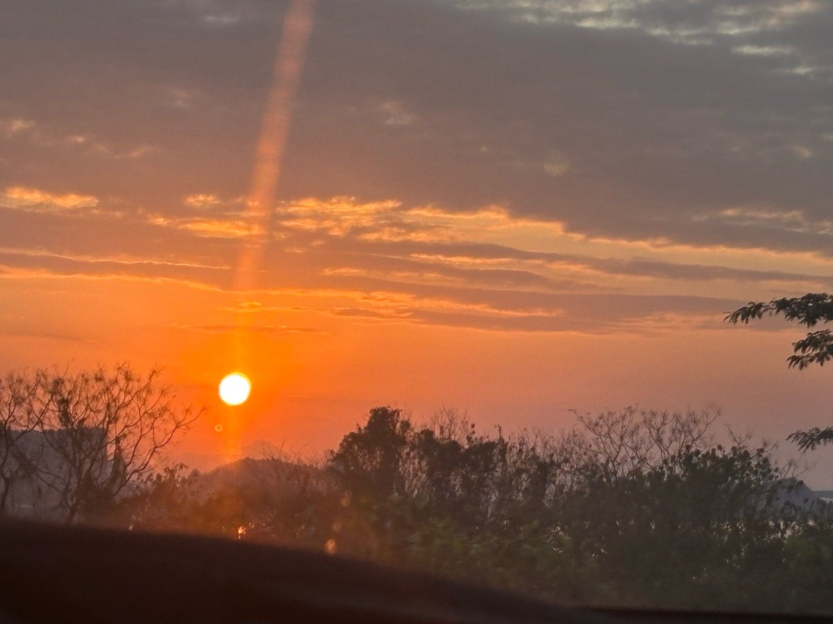 Metsar WU tweet media