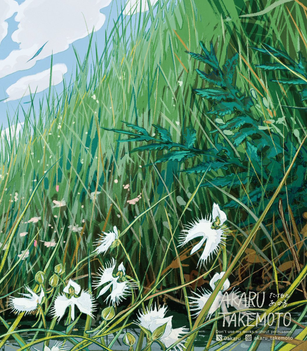 たけもとあかる tweet media