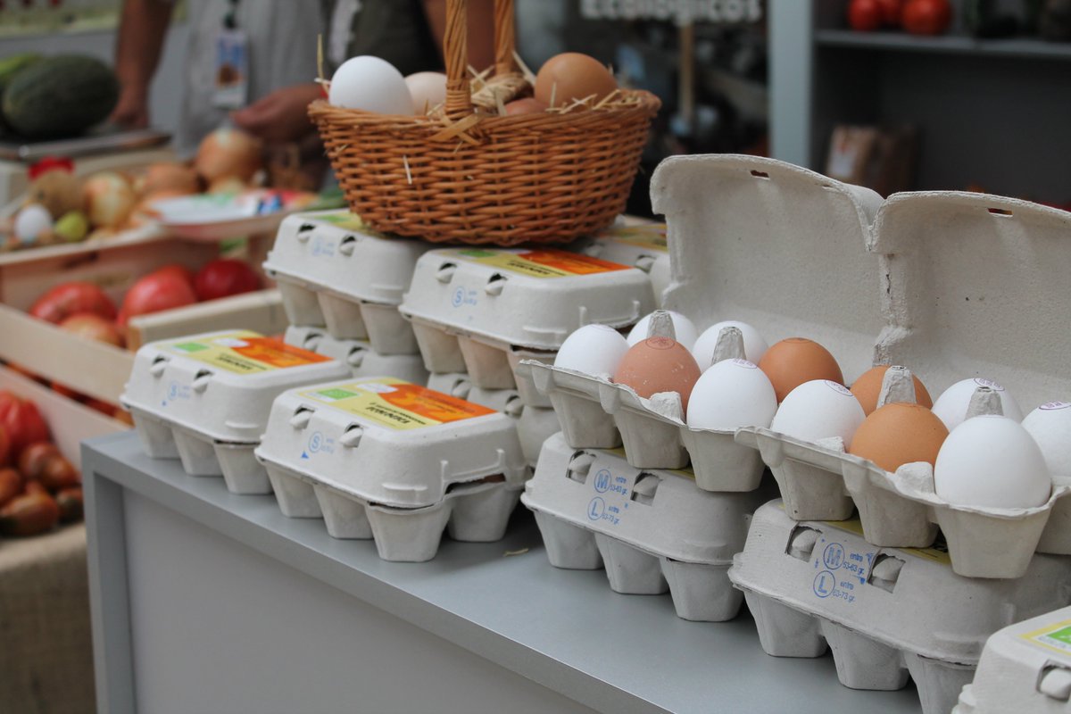 AgroNews Comunitat Valenciana tweet media