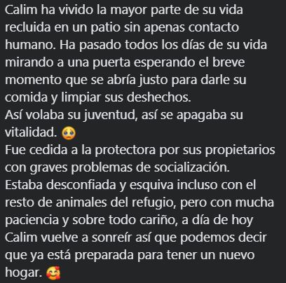 Refugi Els Àngels tweet media