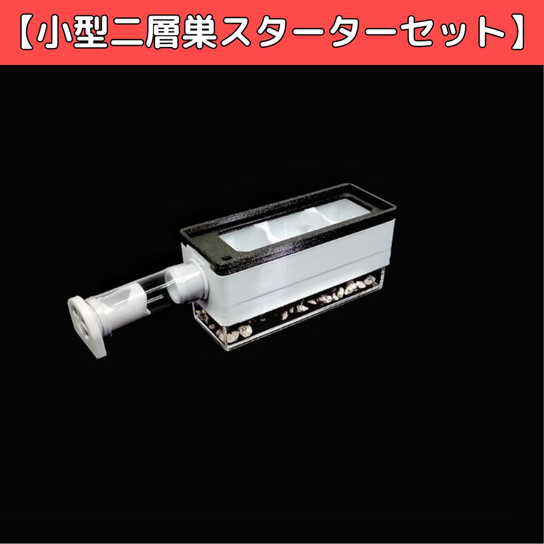 あり巣 in underground|失敗しにくいアリの巣を販売中 tweet media