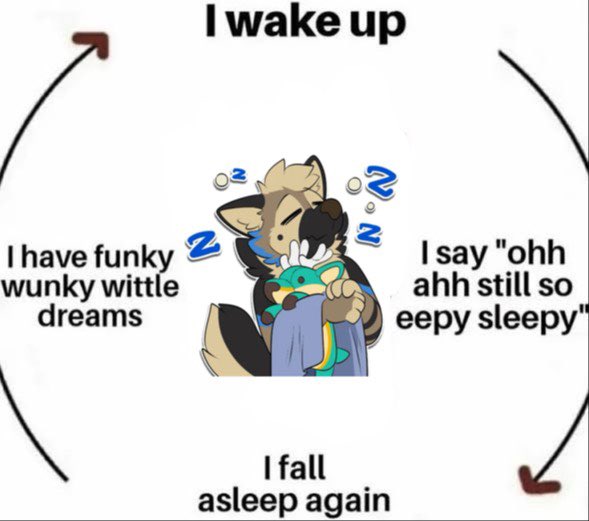 ranger 🐶 tweet media