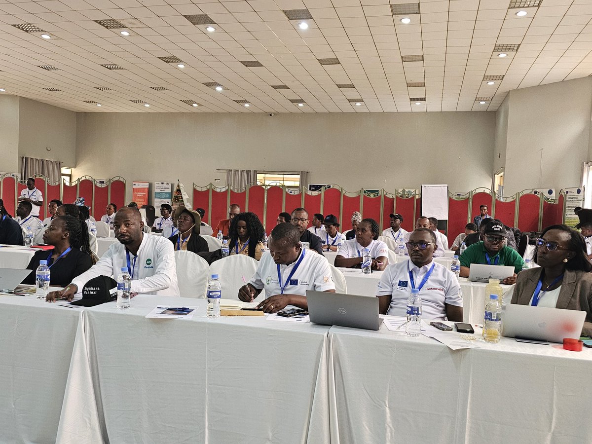 ActionAid Rwanda tweet media