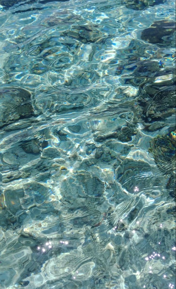 𝒍𝒖𝒏𝒂 tweet media