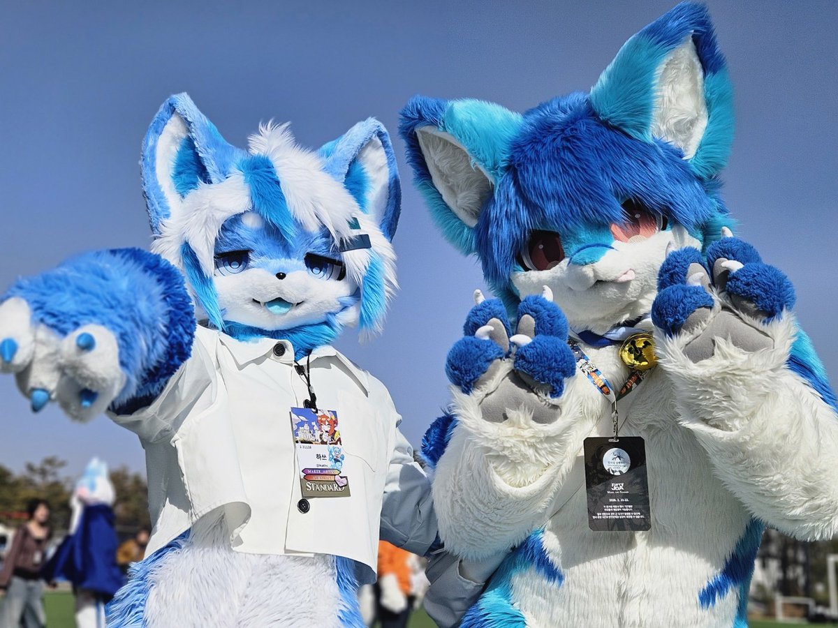 하쓰🔜Furst class tweet media