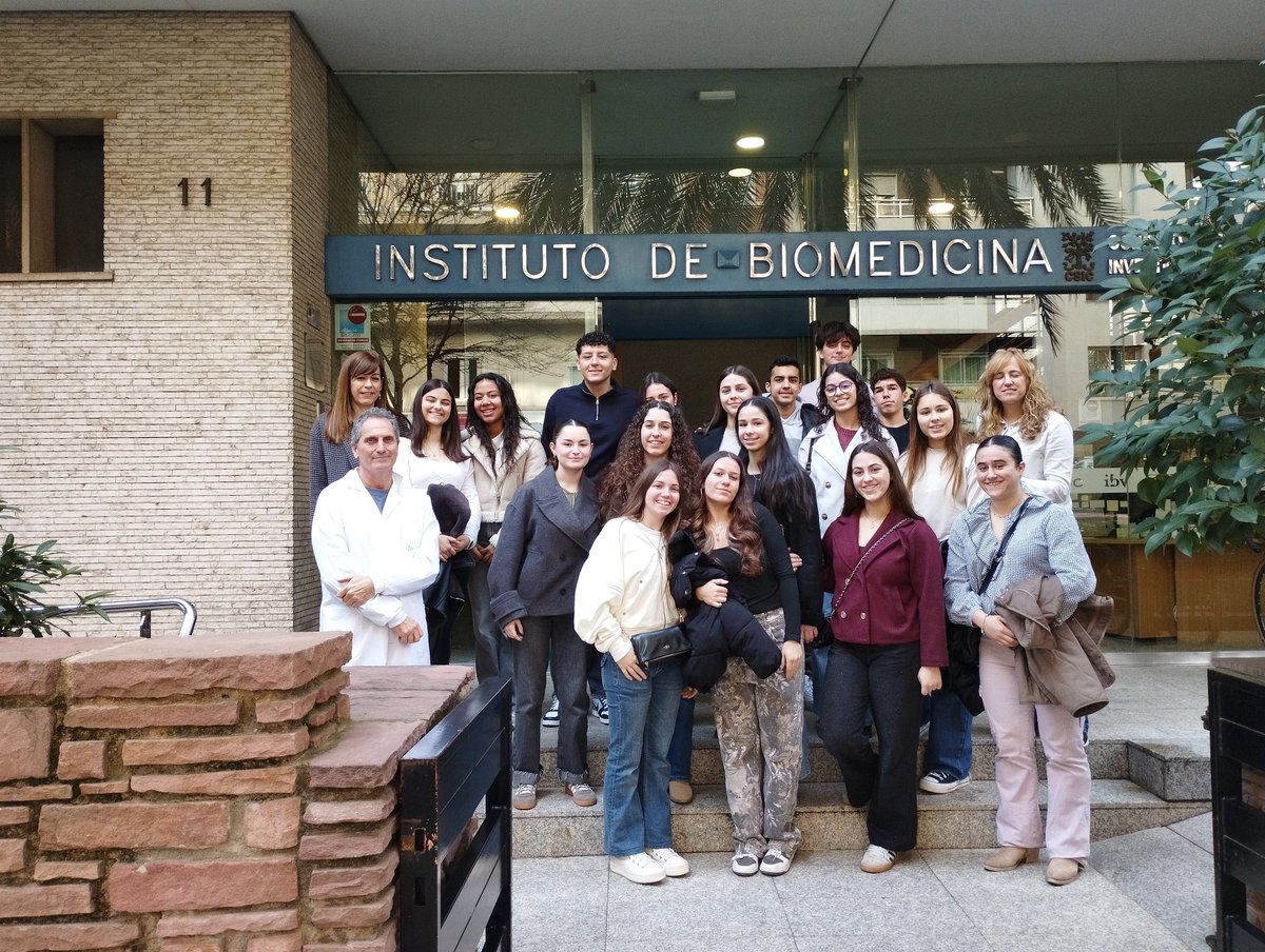 IBV-CSIC tweet media