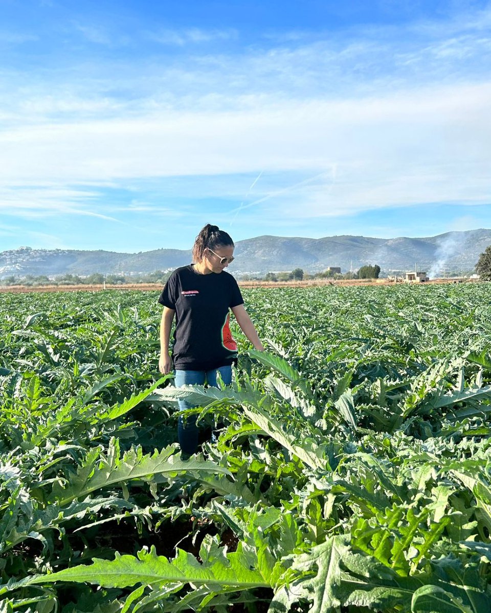 BASF Agro España tweet media