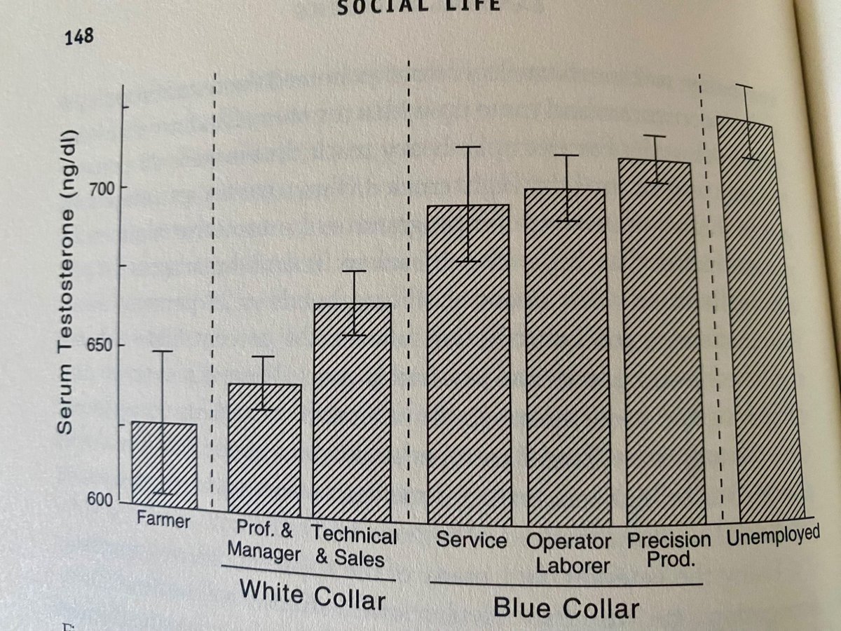 Primal Thrive tweet media