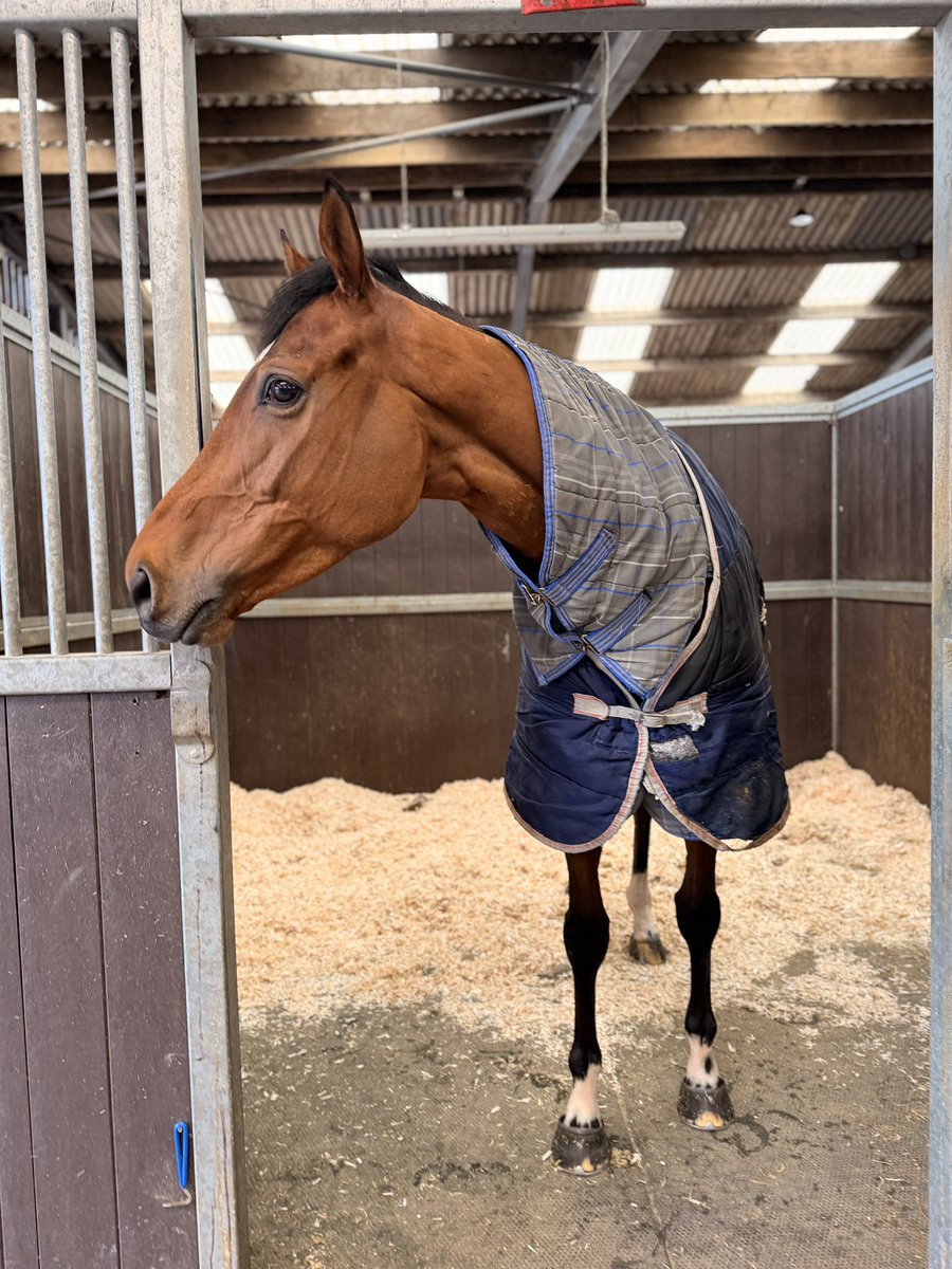 Beth McCabe tweet media