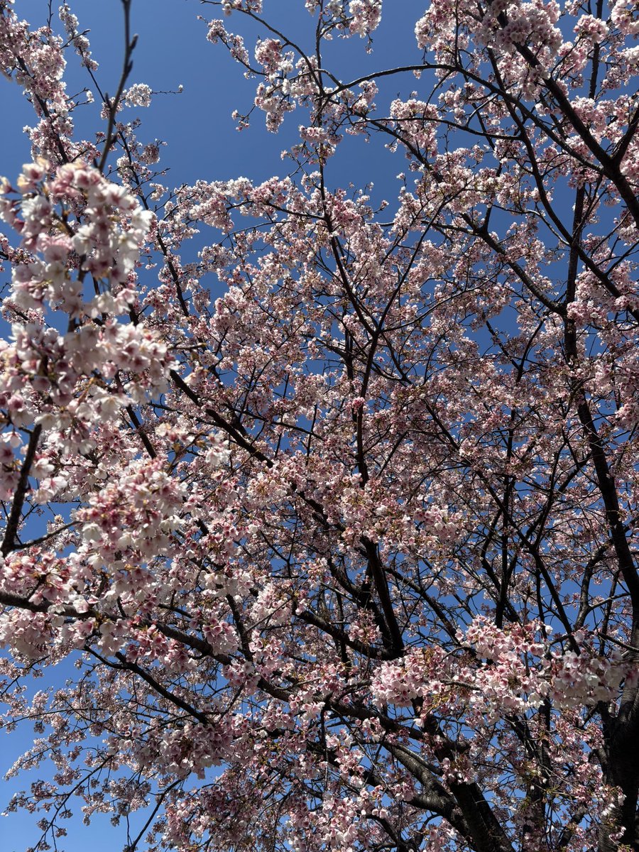 TAKAGI  H tweet media