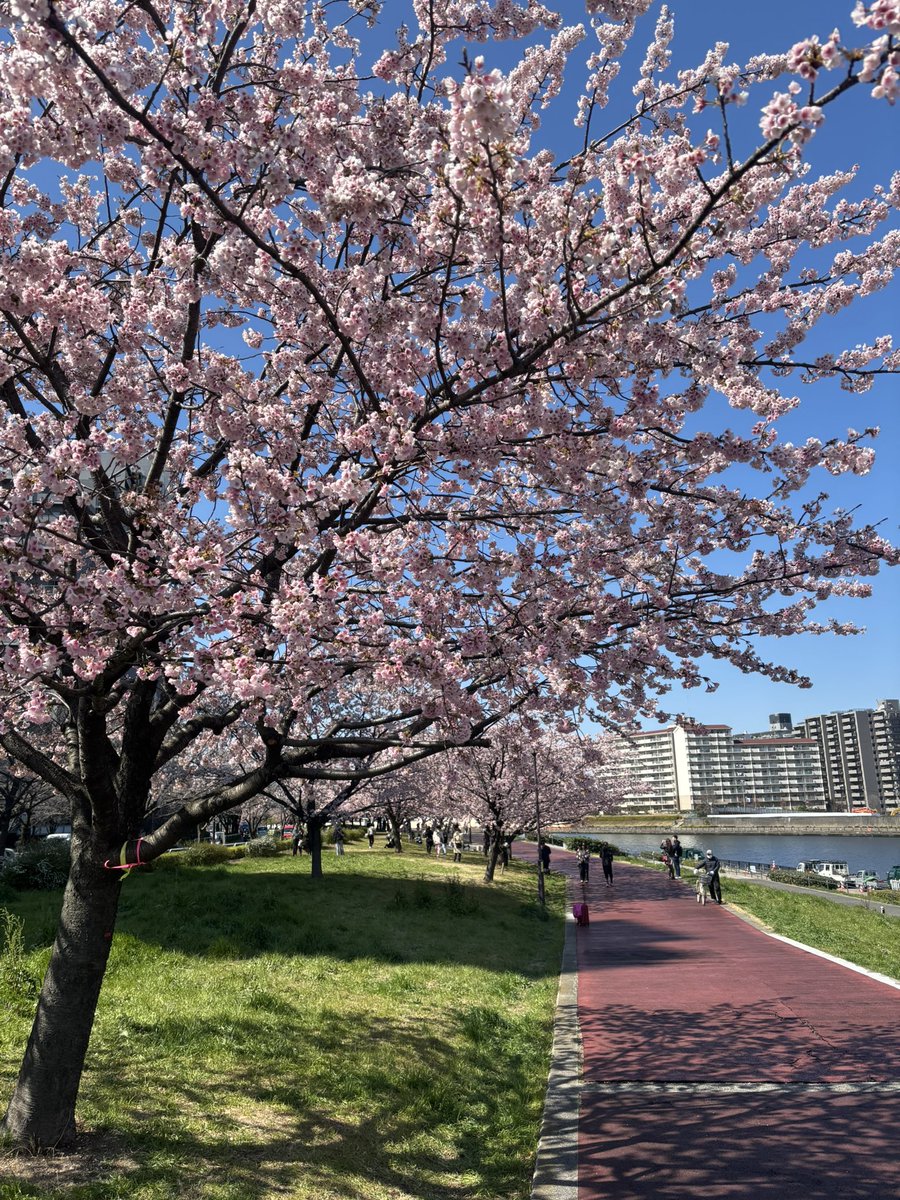 TAKAGI  H tweet media