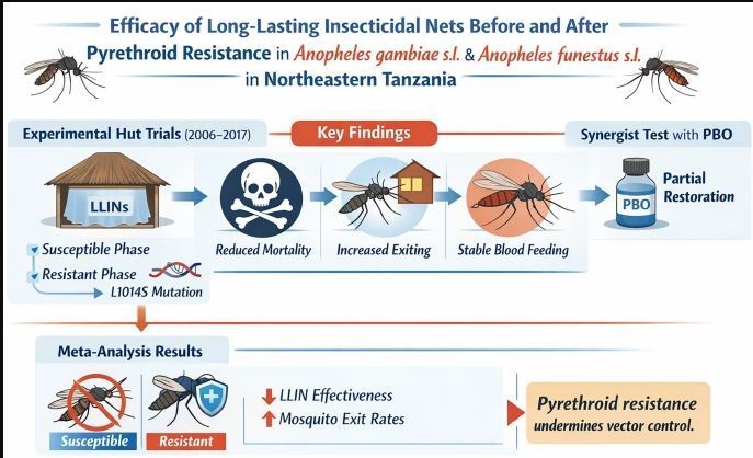LSHTM RAFT tweet media