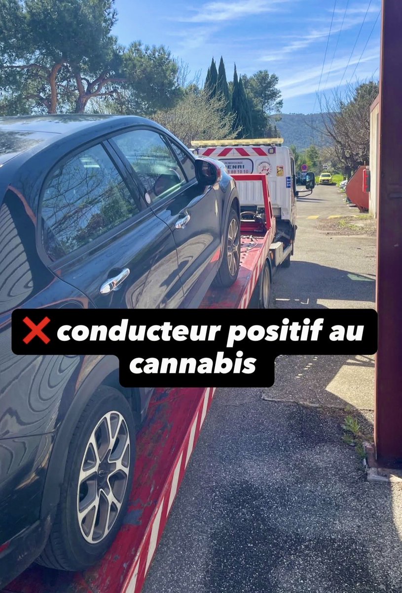 Free Bird tweet media