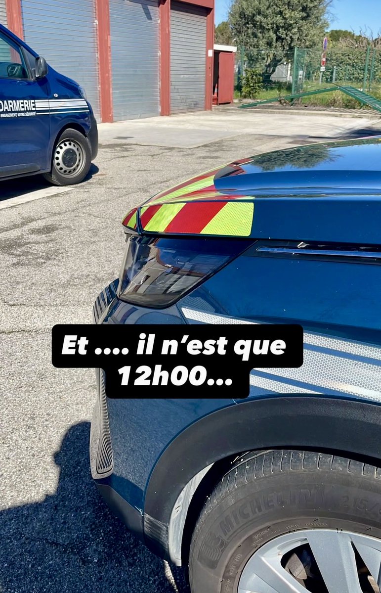 Free Bird tweet media