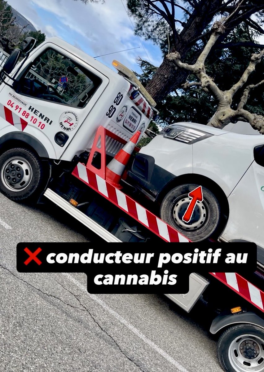 Free Bird tweet media