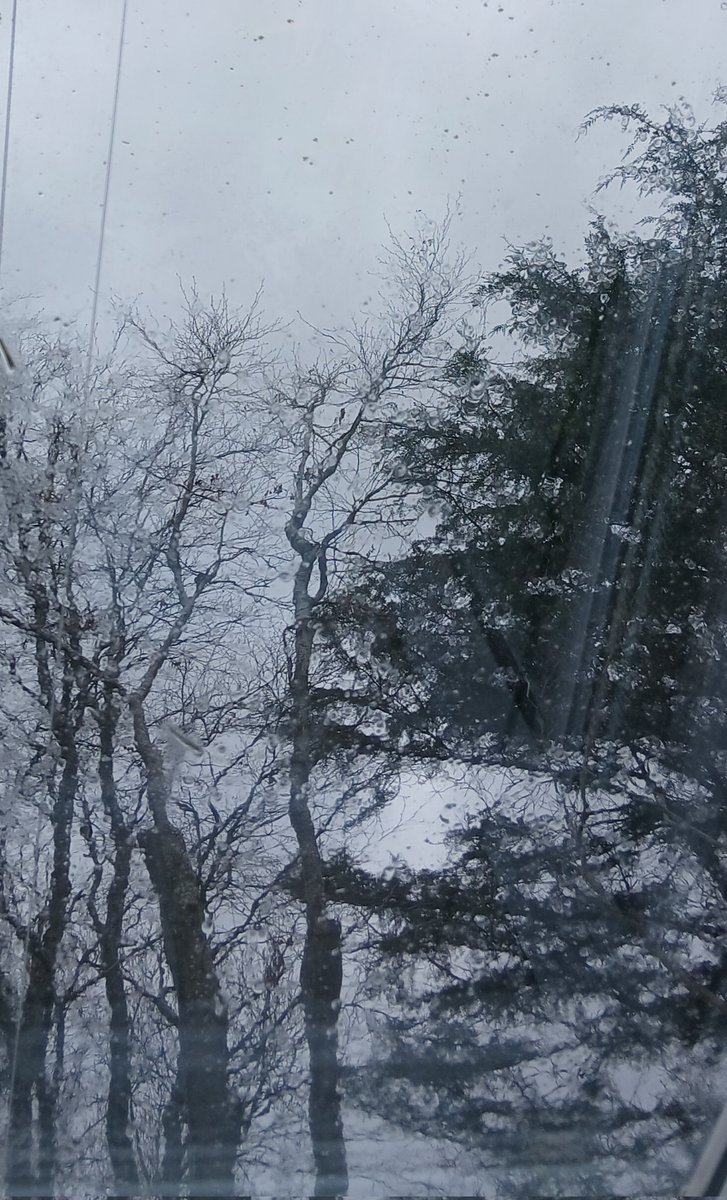 Suzanne Coleman tweet media